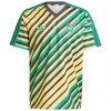 Camiseta de fútbol Jamaica Retro 2024 - Hombre